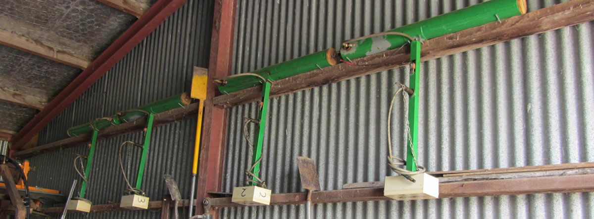 Vinetech Birdscarer