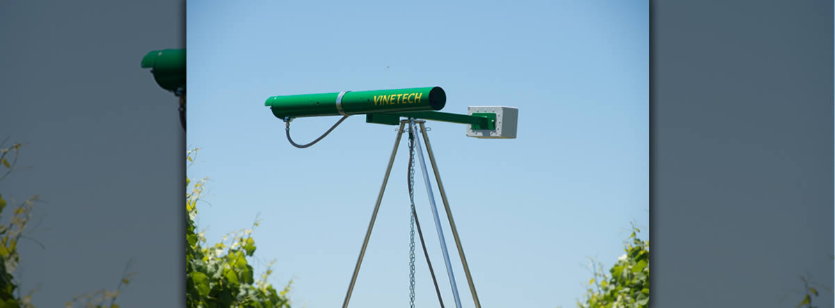 Vinetech Birdscarer