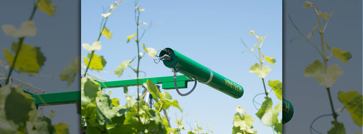 Vinetech Birdscarer
